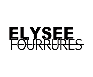 Logo elysee.desjardins